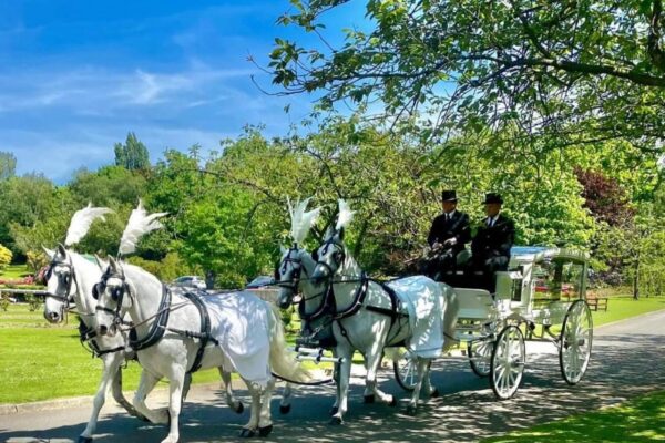 stubbinshope.co.uk_--_213769681 stubbinshope.co.uk_--_213769681